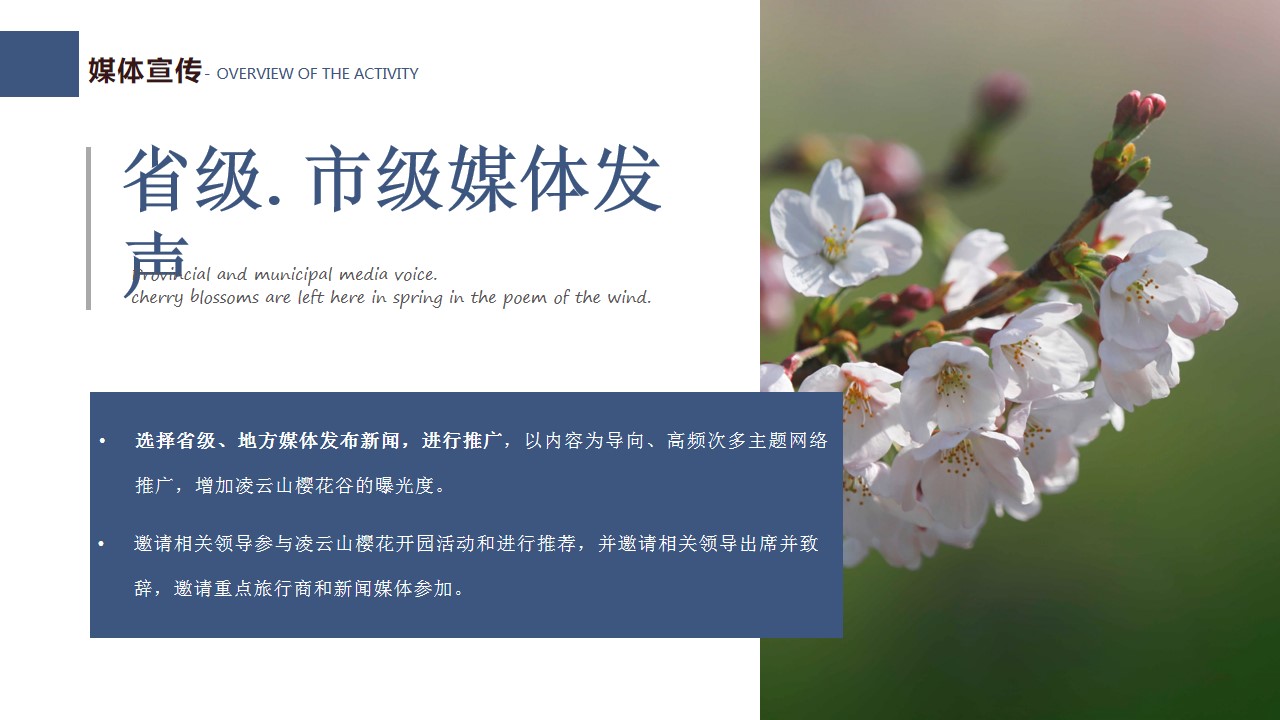 1743042399 42598eae9c79557 - 莫负花期 樱你而美 --凌云山樱花谷开园仪式暨20XX樱花嘉年华
