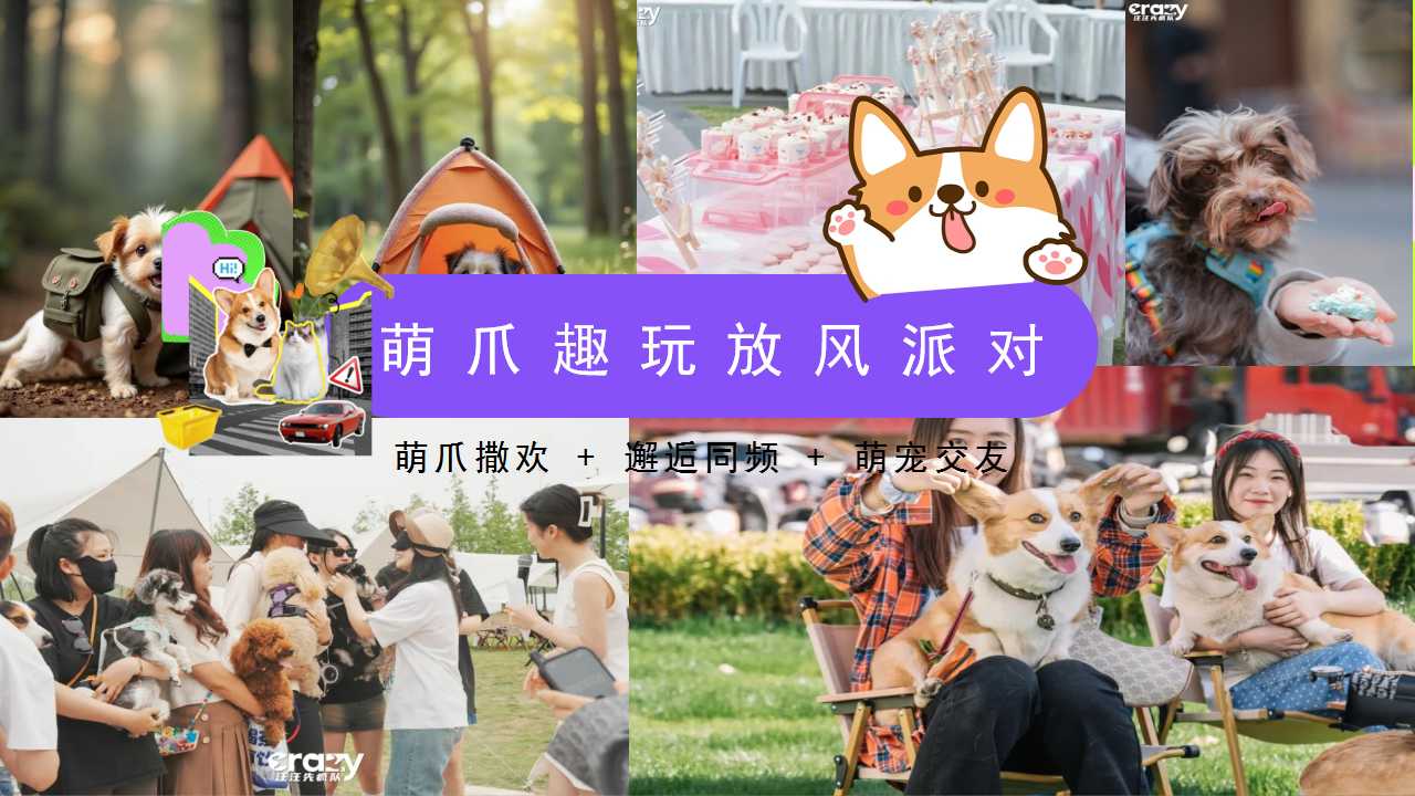 1744855137 0f927bc20e699d3 - 劳动节城市萌宠社交狂欢节释放毛孩子的运动天性地产活动策划方案