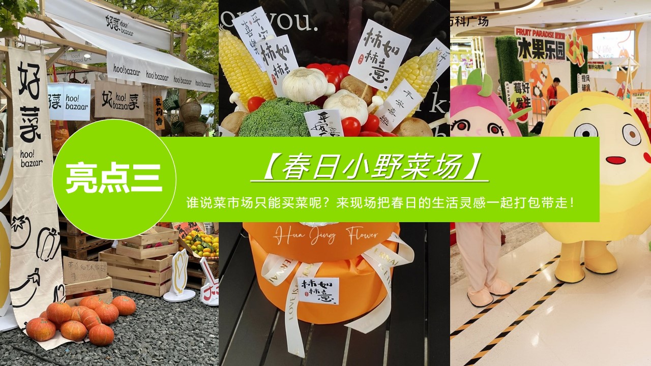 1777459628 a226fd4163bf13c - 商场购物中心三月份春日漫游计划主题活动策划方案